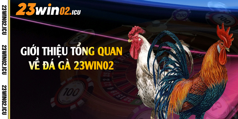 Giới thiệu tổng quan về đá gà 23win02