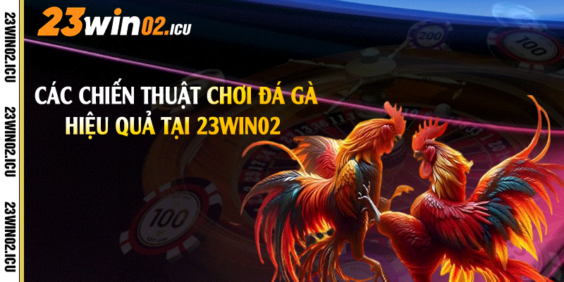 Các chiến thuật chơi đá gà hiệu quả tại 23win02